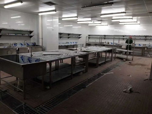 专业厨房工程升级 从工业设计到环保妙用的生活餐饮领航
